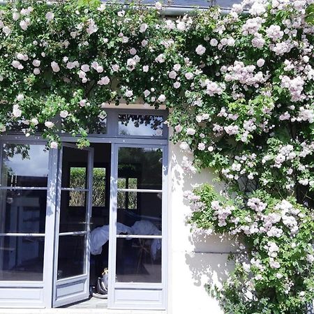 La Maison De Famille Les Alizes Le Crotoy Bagian luar foto